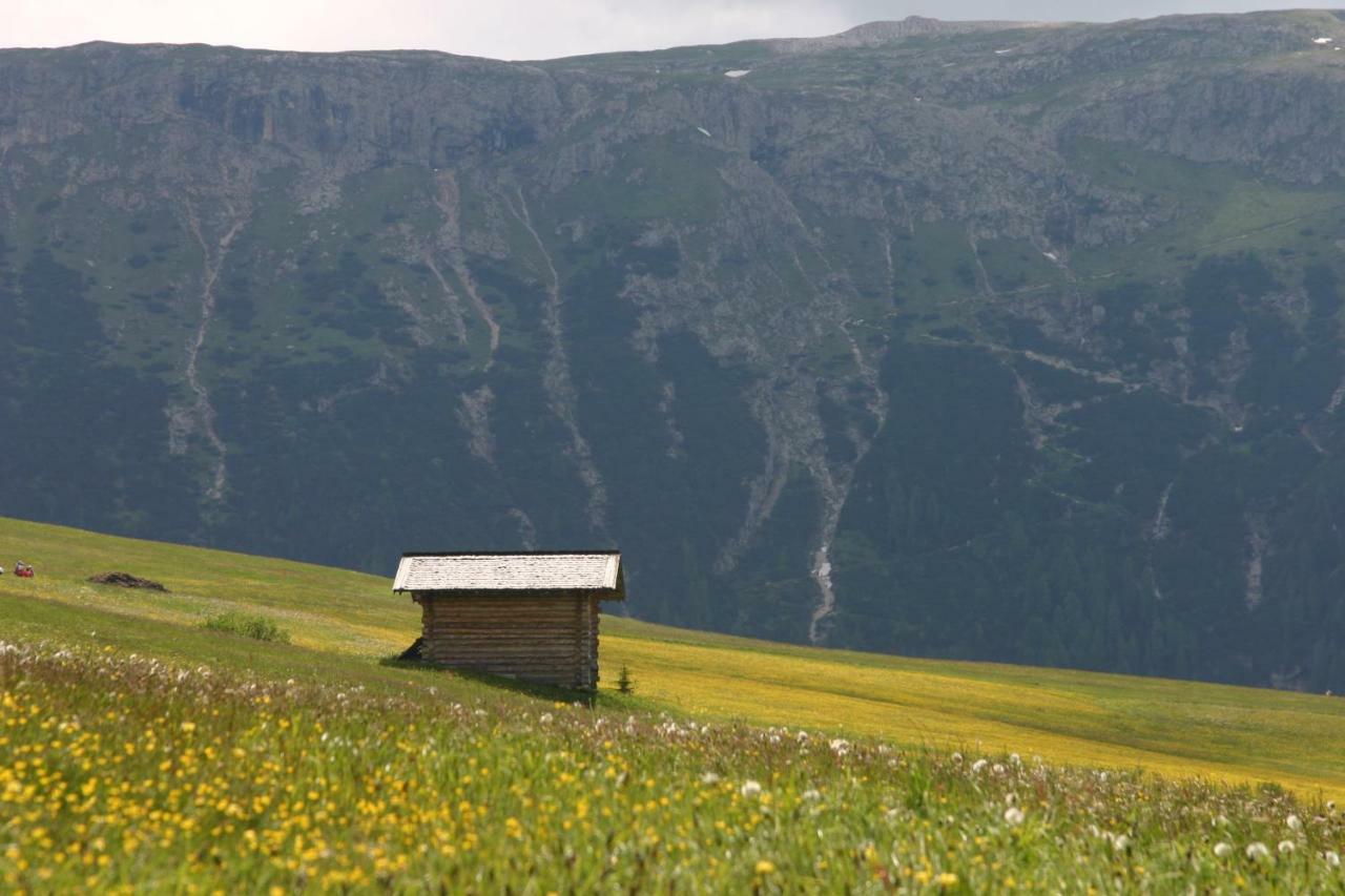 Plaza 3* Seiser Alm